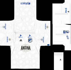 Uniforme millonarios visitante pls