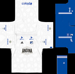 Uniforme 3 millonarios pls