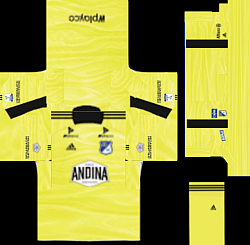 Uniforme arquero local pls